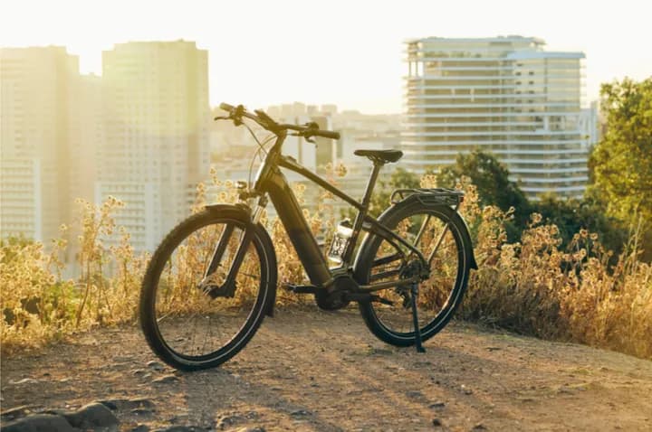 Electric bike